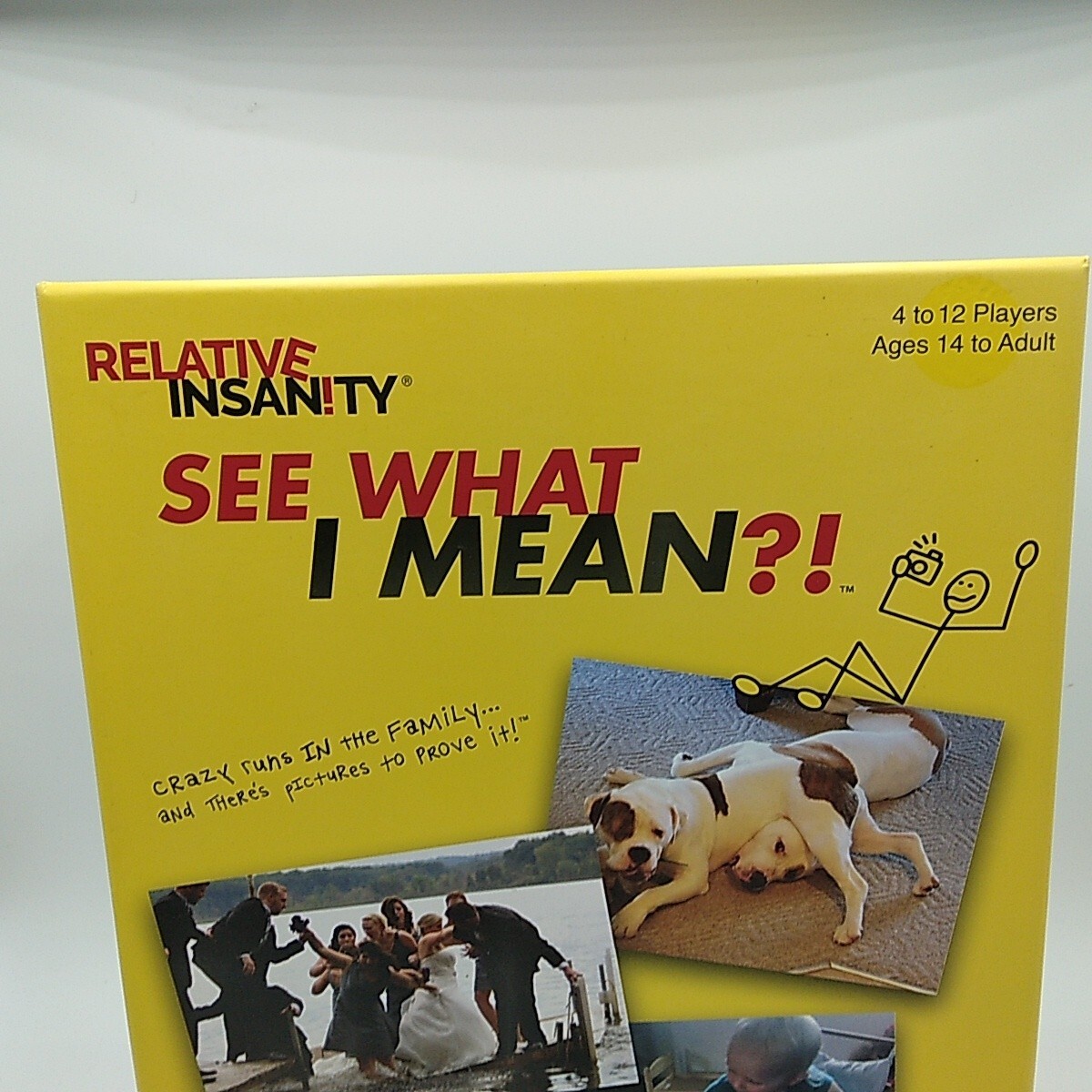 PlayMonster Relative Insanity: See What I Mean?! – Party Game with Funny Phot…