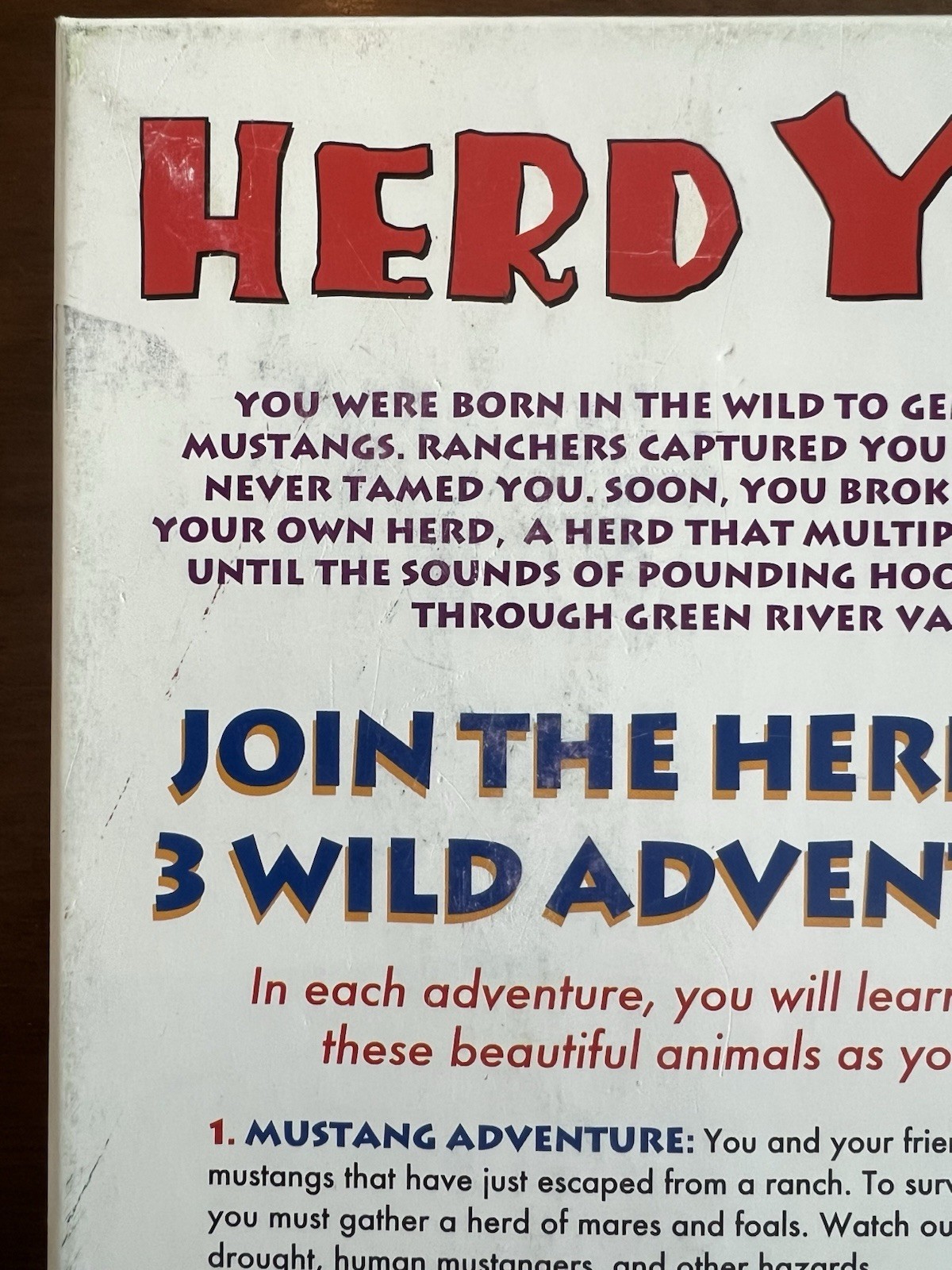 Herd Your Horses Board Game Aristoplay 2015 Complete Horse Family Strategy Game