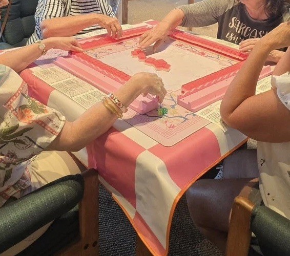 Maison Lude Mahjong Tiles – Blooming Edition, 160 Tiles With Carrying Case