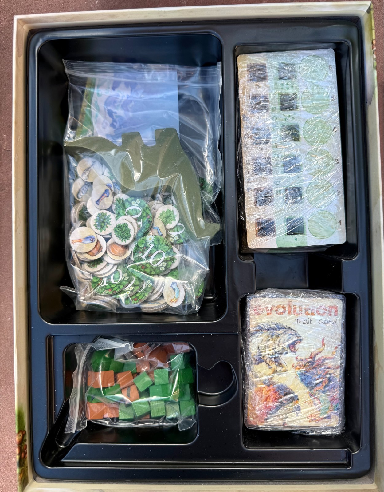 Evolution Board Game North Star Games Science Education Complete Nice Open Box