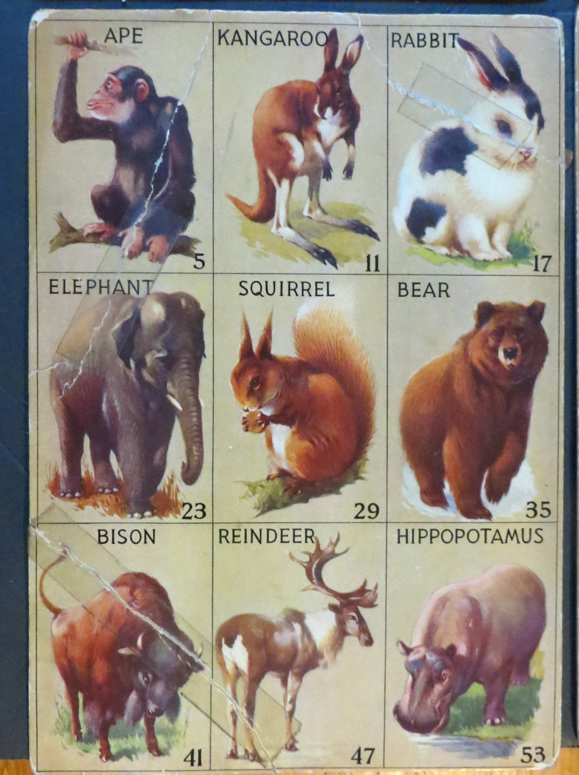 1932 Vintage Animal Lotto Samuel Gabriel & Sons , NY 6 Boards Only