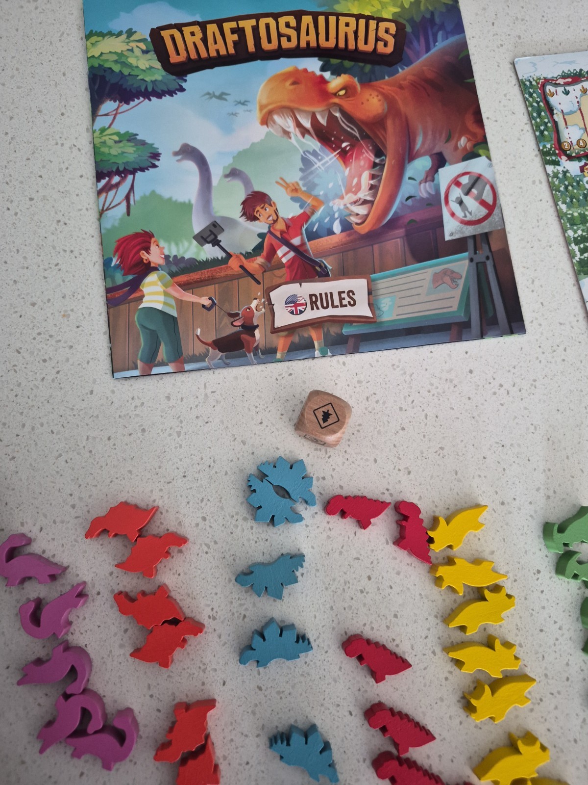Draftosaurus Board Game by Ankama English Version of GERMAN game Educational