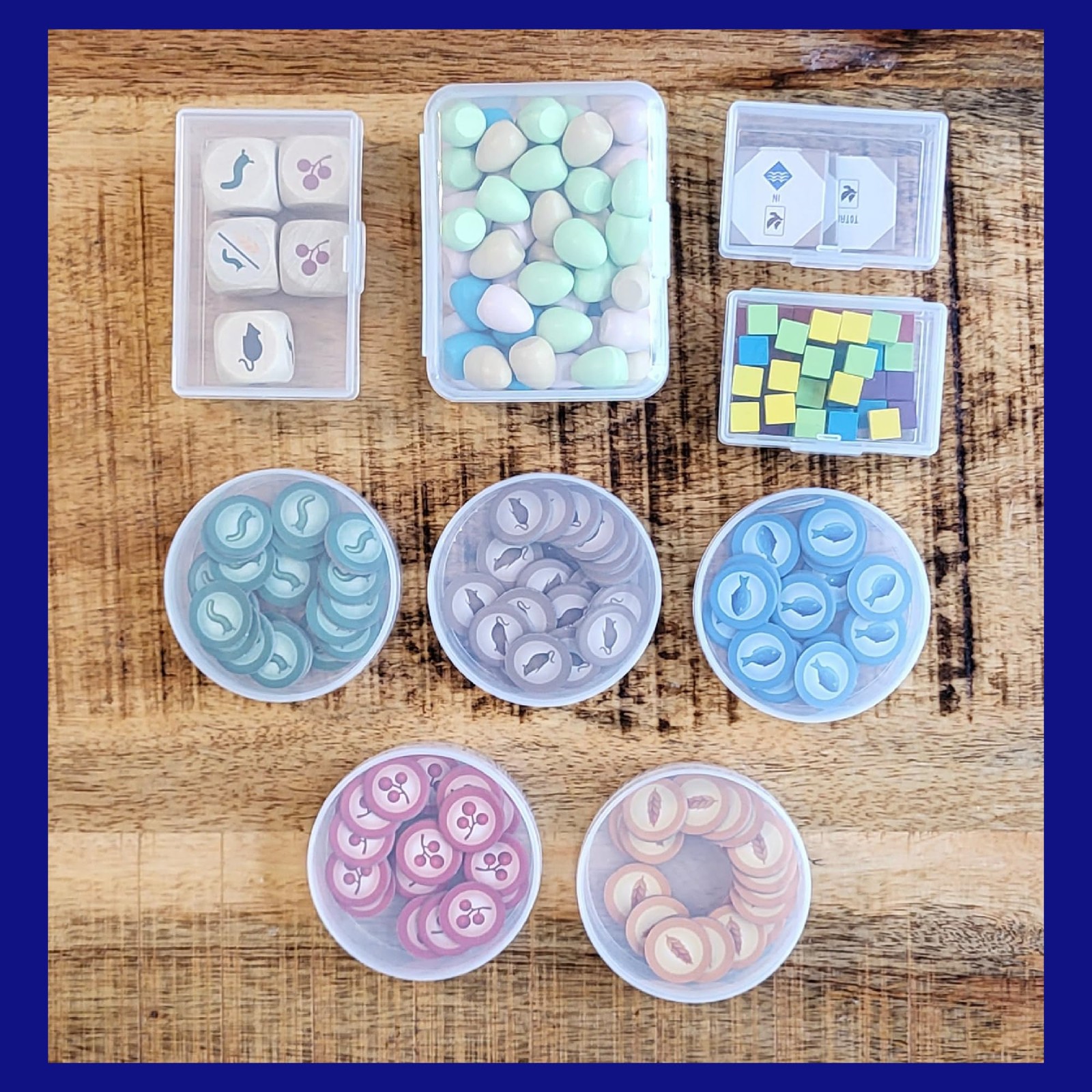 BitsBins Organizer for Wingspan Base Game, Organizes Tokens Easily and Fits i…