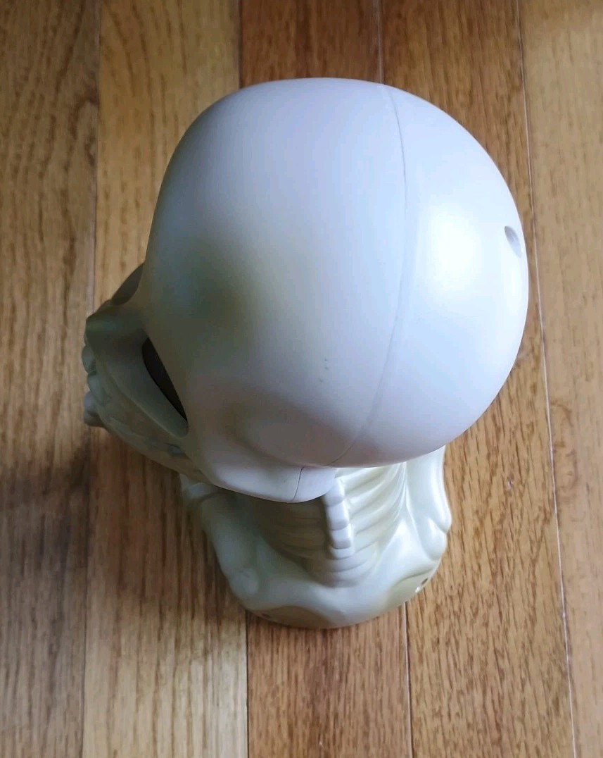 Fotorama Visions Of Johnny The Skull Skill And Action Game FIGURE ONLY Working