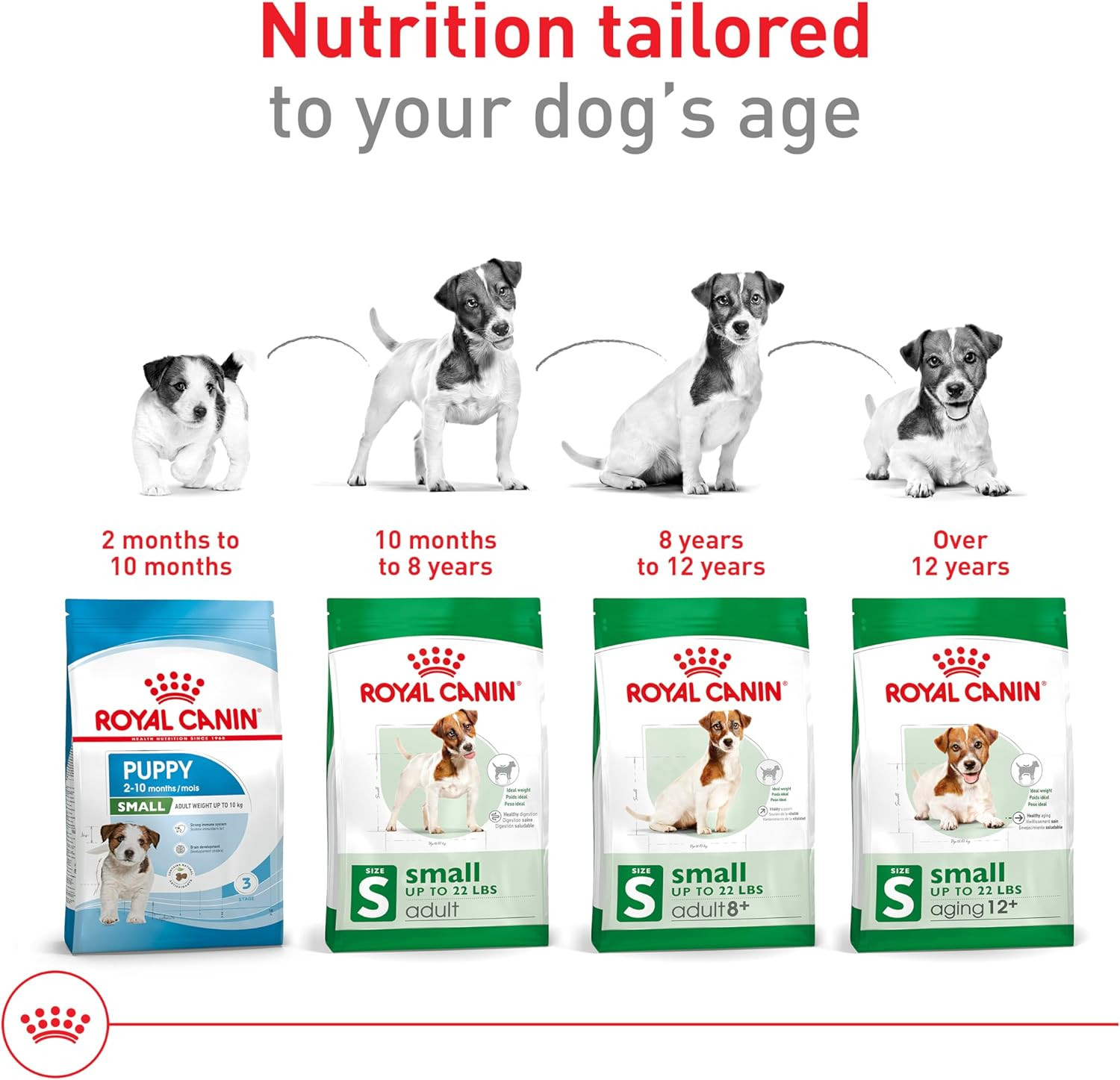 Royal Canin Size Health Nutrition Small Aging 12+ Senior Dry Dog Food, 2.5 Lb Ba
