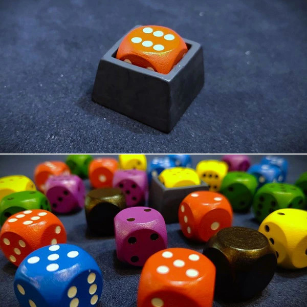 Nokosu Dice Engames Board Game Card Trick Taking Japan（ English Manual）