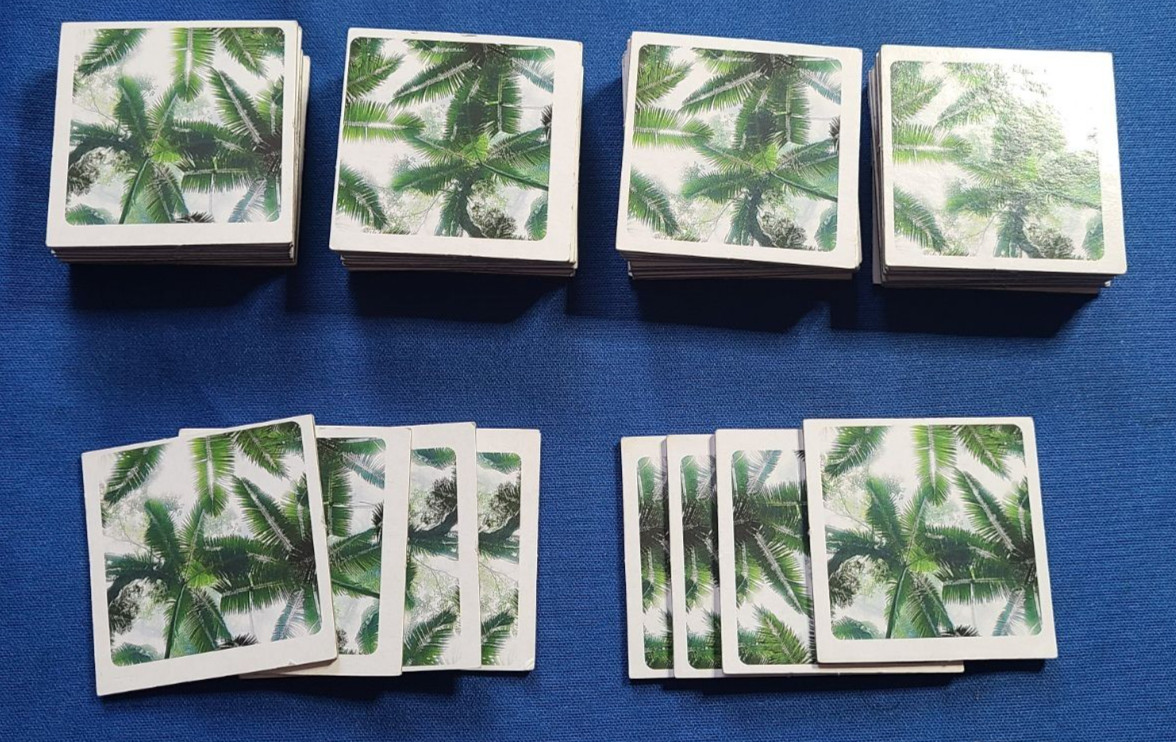 Animal Memory Game 24 pair/48 Cards Complete