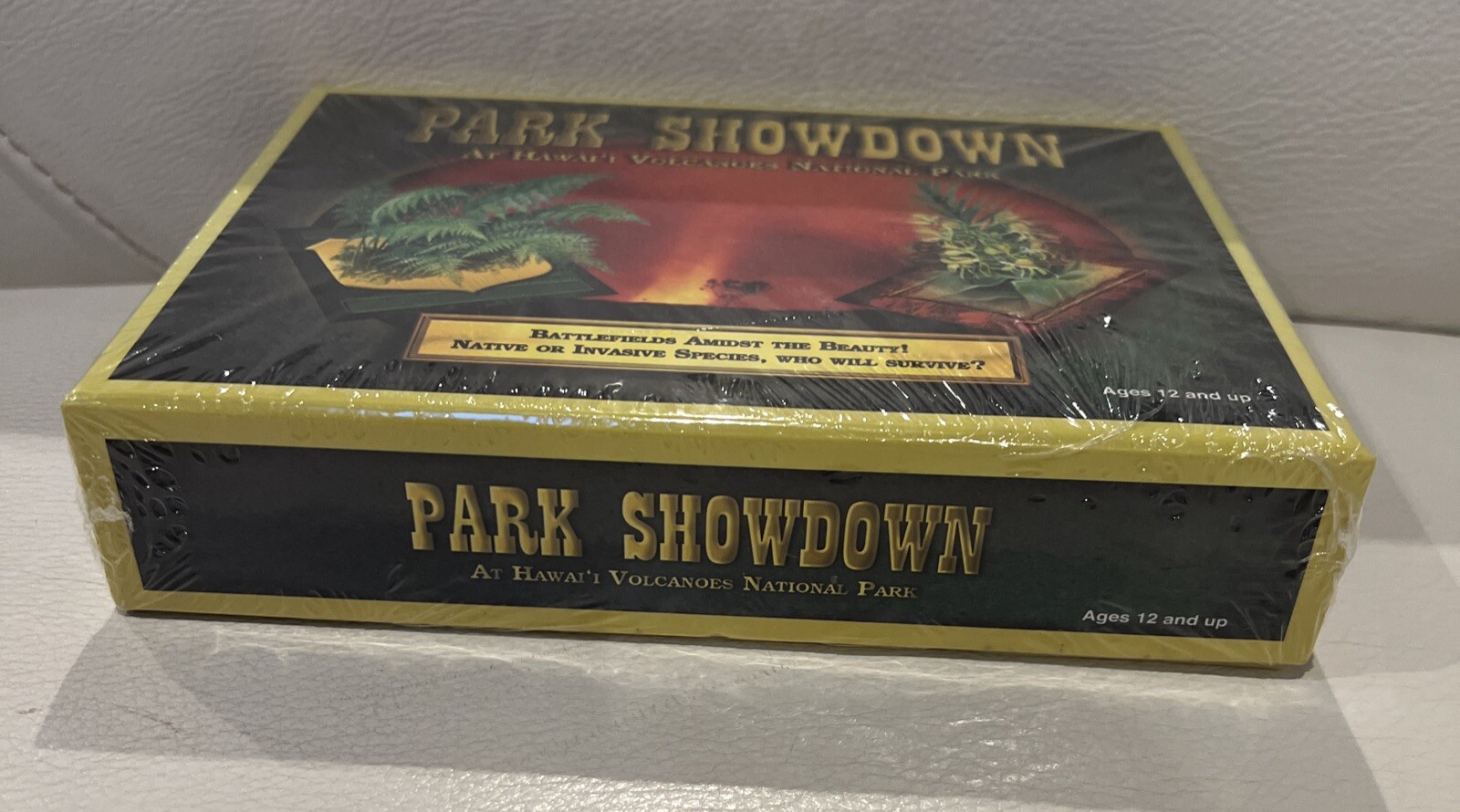 Park Showdown At Hawaii Volcanos National Park Game Ages 12 And Up New