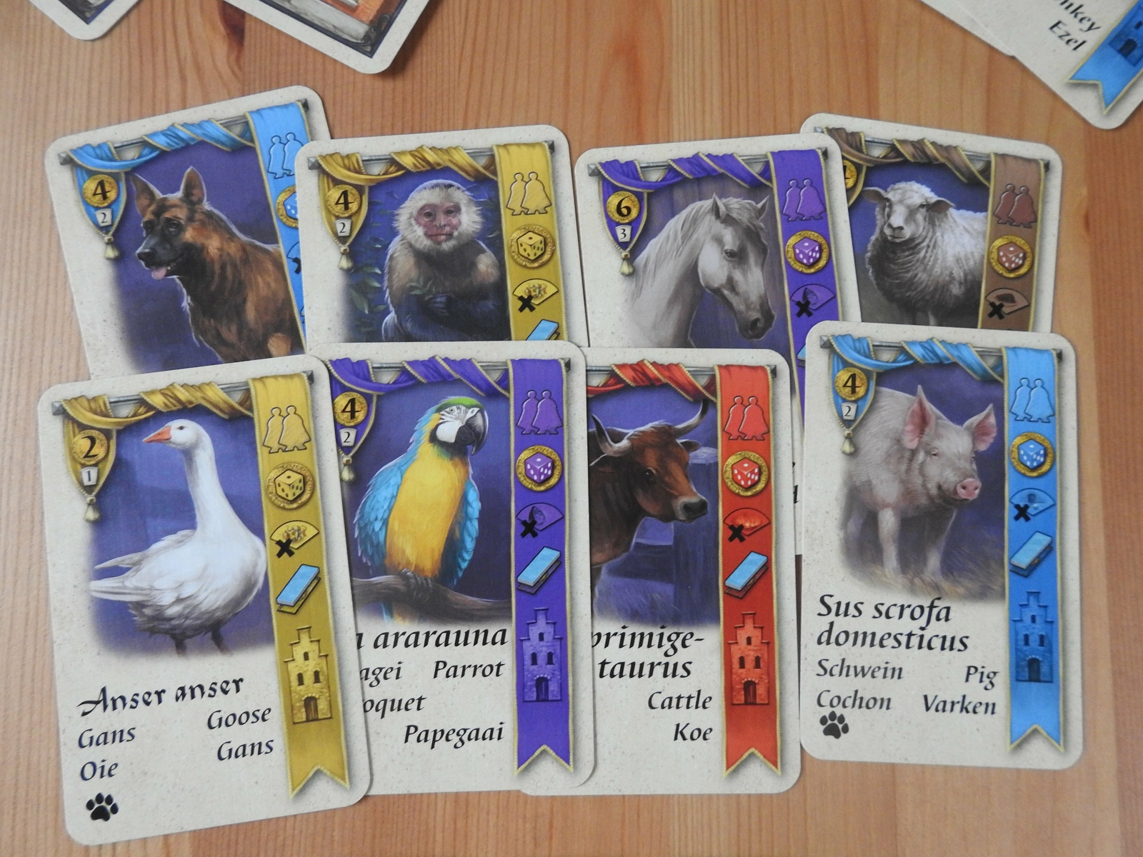 Bruges – Pets | Brügge – Die Haustiere | Mini Expansion | New | English Rules