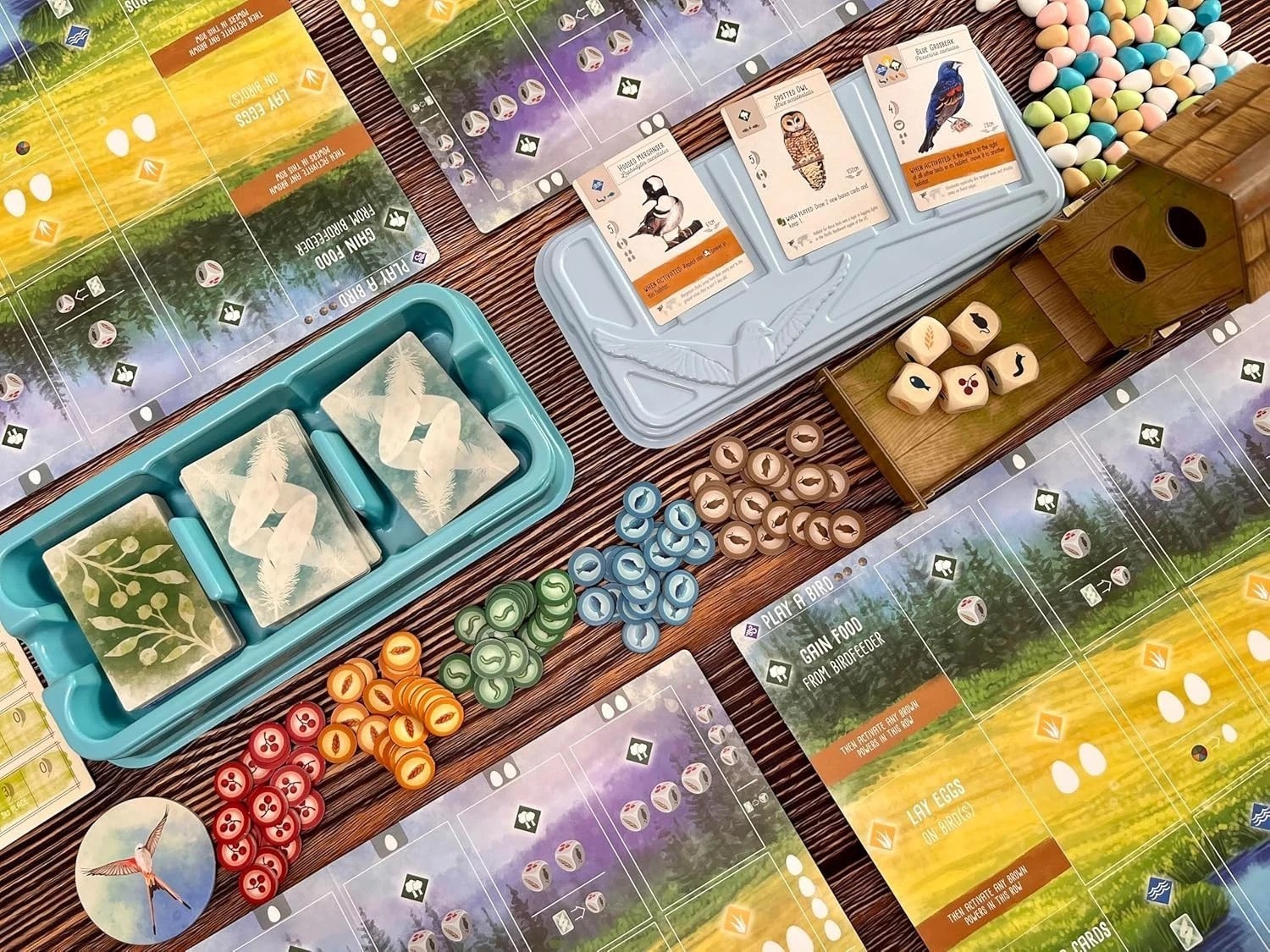 Wingspan Base Game by Elizabeth Hargrave | A Relaxing, Strategy Board Game A…