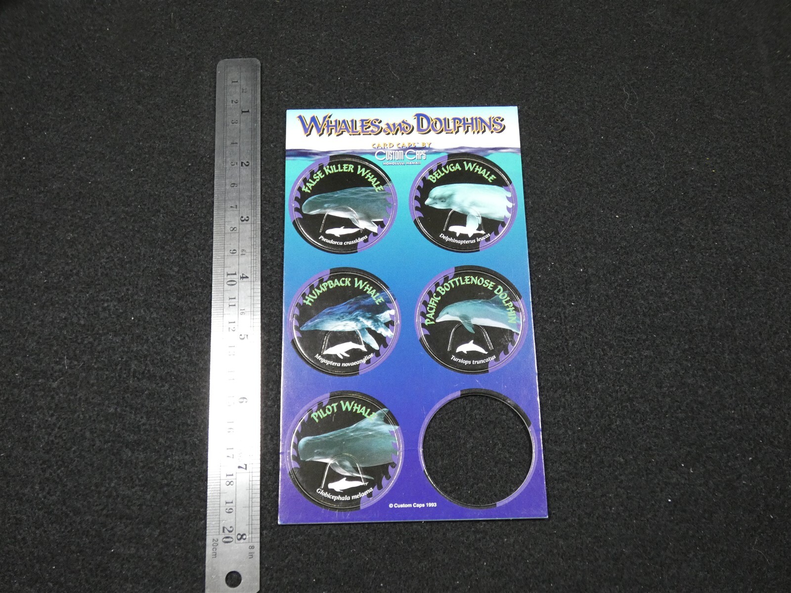 Lot 4 Sheet Card Caps Custom Caps Pogs Hawaiian Sharks Whales Dolphins Dinosaurs