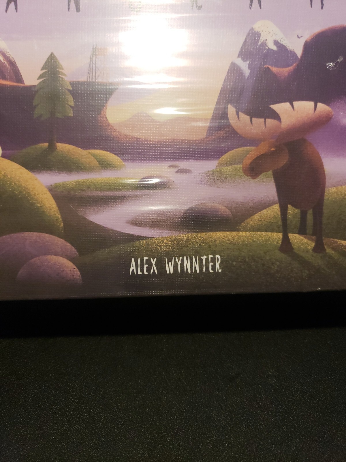 Panorama 2021 Spark Works Strategy Card Game Gorgeous Artwork Ages 8+ NEW