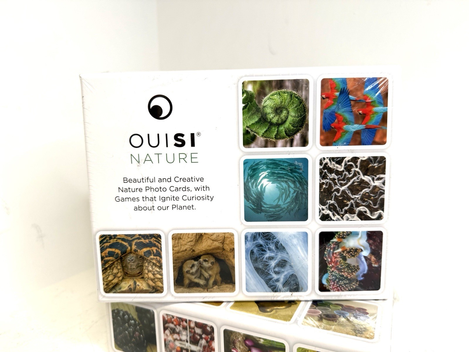 Ouisi (2) Photo Cards & Games “Ignite a Sense of Connection and Wonder” – NEW