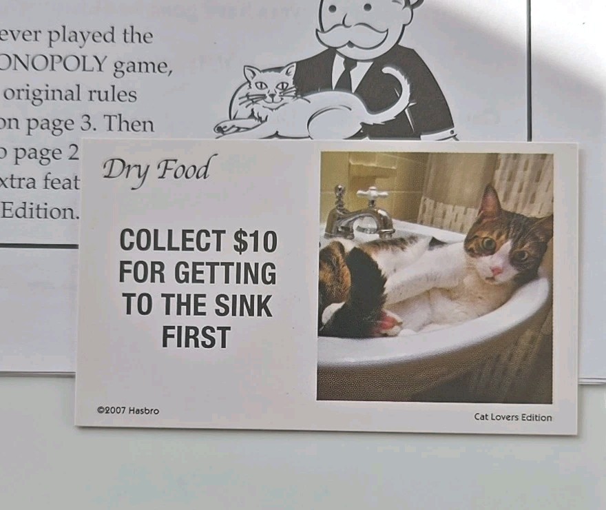 Cat Monopoly Collect $10 For Getting To The Sink First Chance Card Game Piece