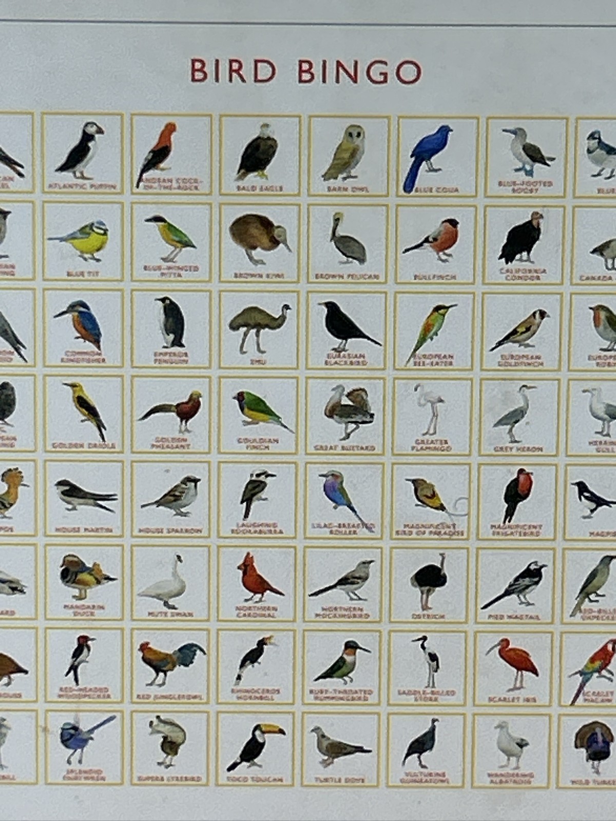 Bird Bingo Game Illustrated by Christine Berrie, Magma Laurence King. 64 Species