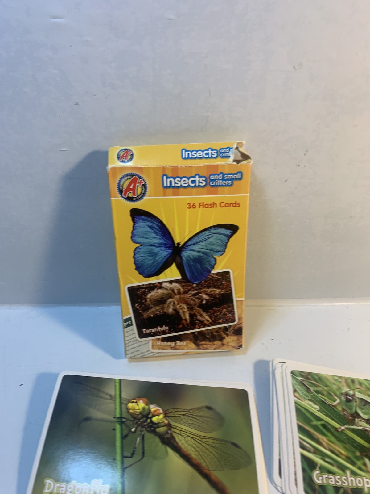 6 Assorted Kids Card Games FLASH CARDS Disney Old Maid Go Fish Vantage Insects