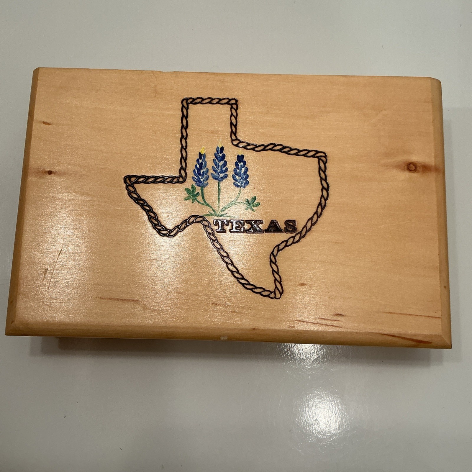 HANDPAINTED TEXAS BLUEBONNETS Extra Thick DOMINOES Texas Imagineering