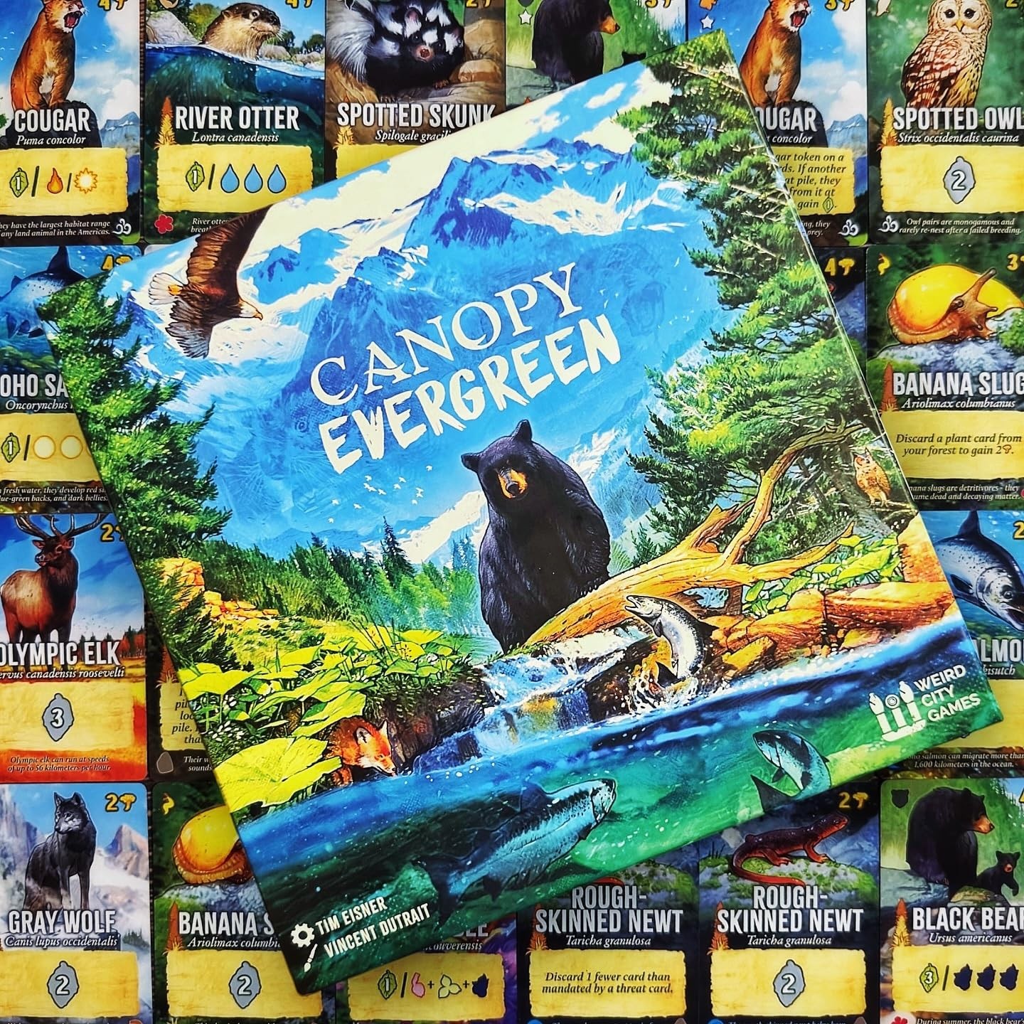Canopy Evergreen – Strategy Board Game – for 1 to 4 Players and Ages 10+
