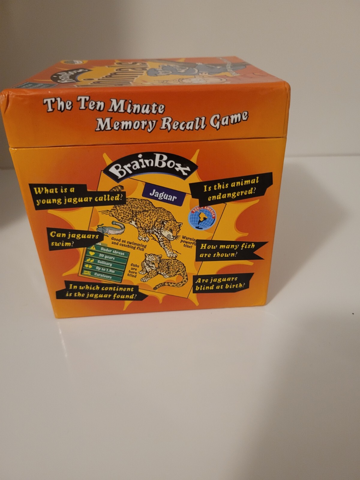 The Ten Minute Memory Recall Game, Brainbox Animals