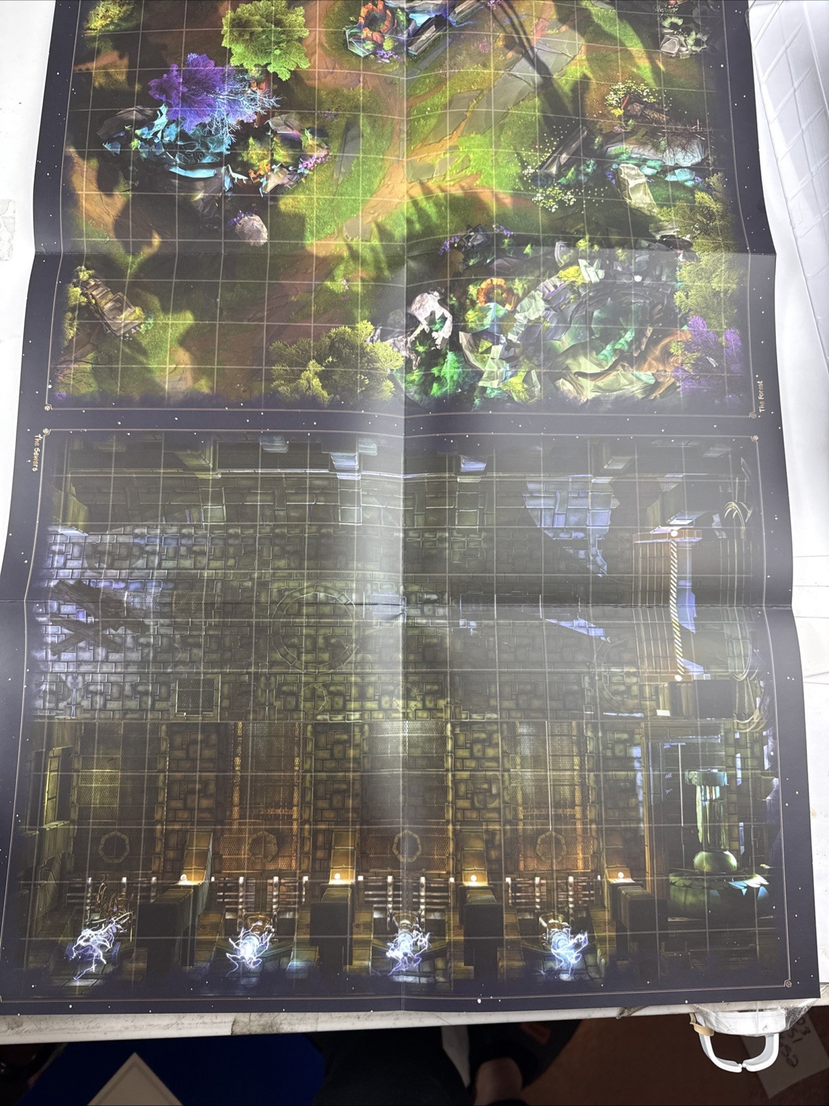 Animal Adventures Starter Set Dungeons Dragons Style Board Game Open Box