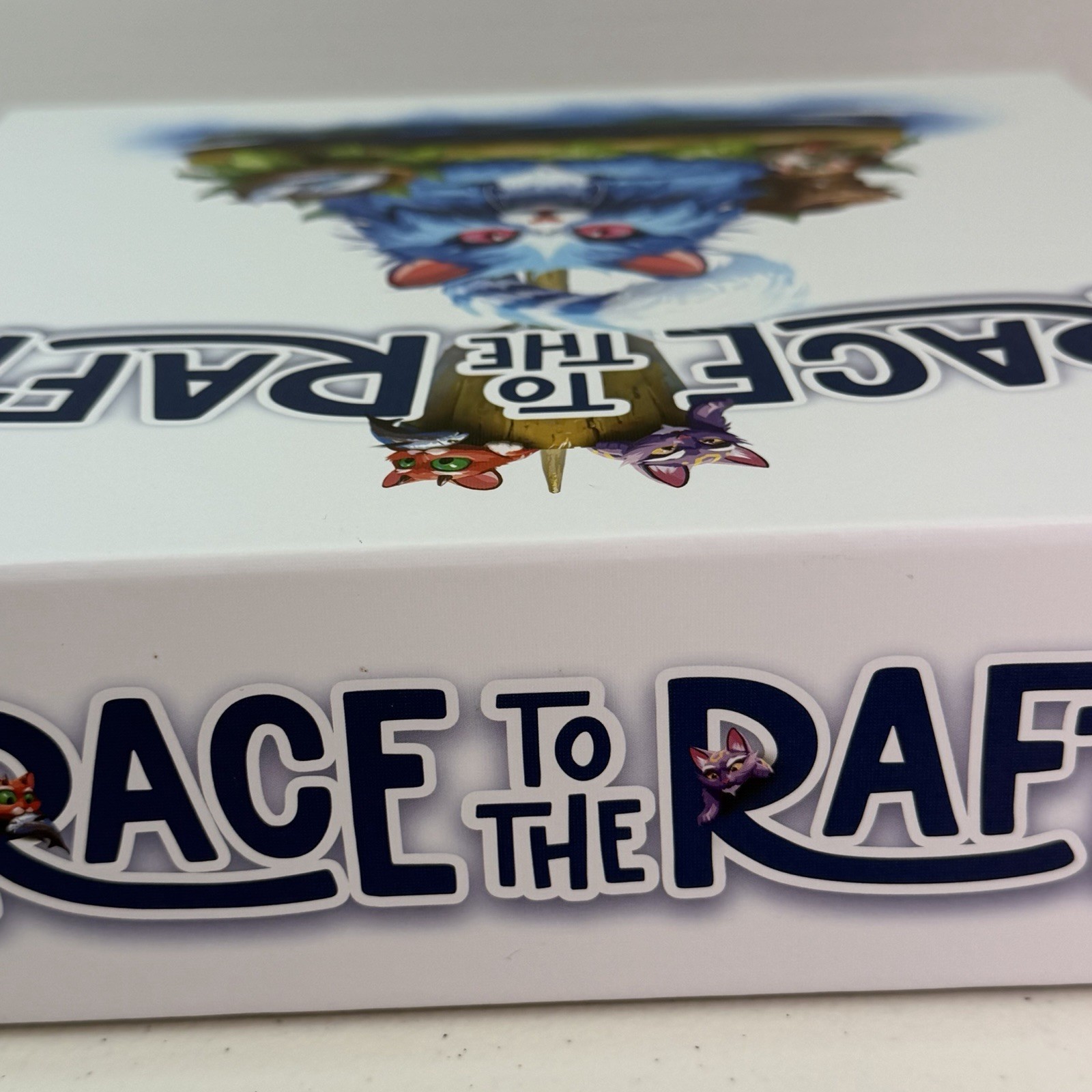 Race To The Raft Co-op Board Game The City Of Games Frank West Complete