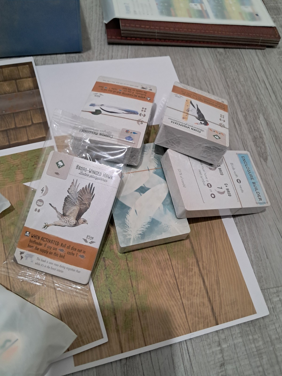 Stonemaier Games – Wingspan Board Game (2nd Edition STM910) New Open Box