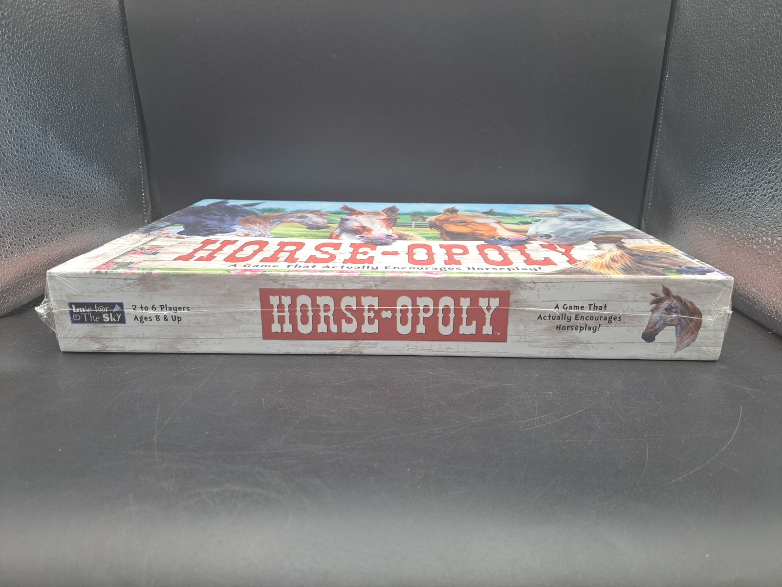 Late for The Sky: Horse-Opoly Board Game