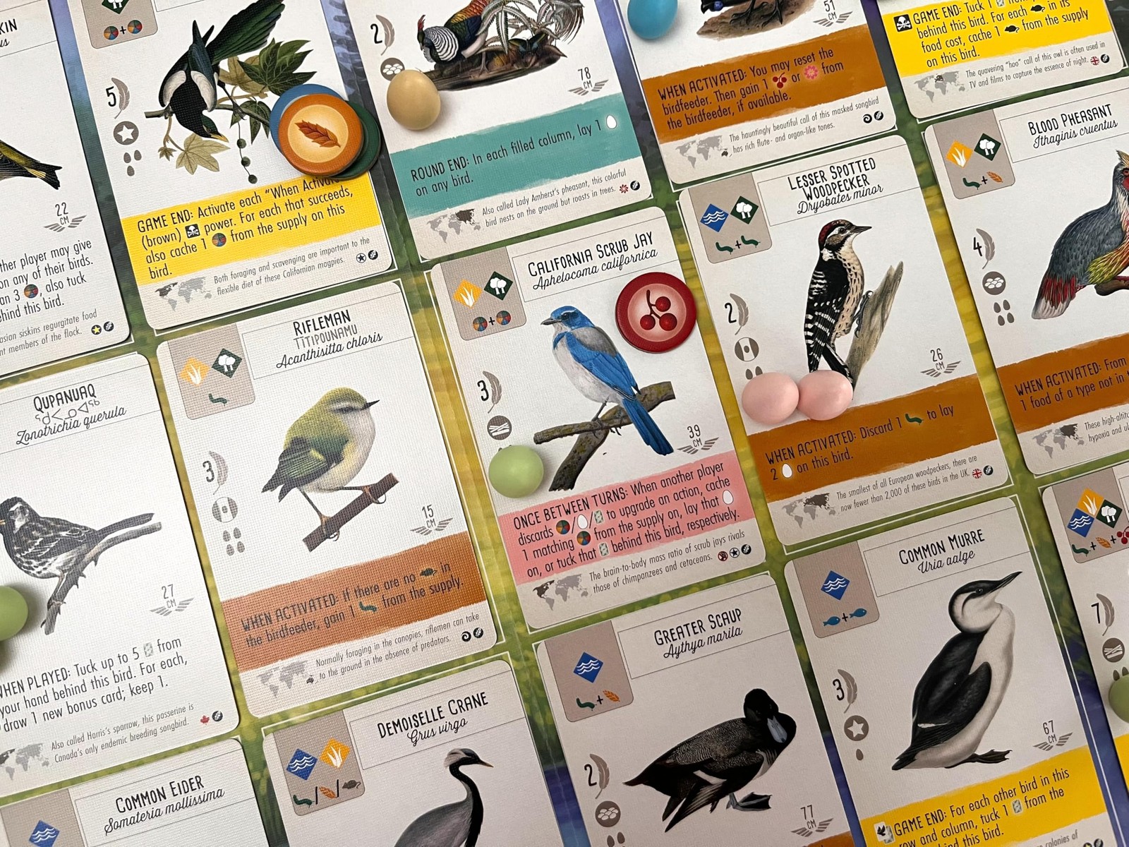 Stonemaier Games Fan-Designed Bird Promo 150 Designed By Fans Using Powers From