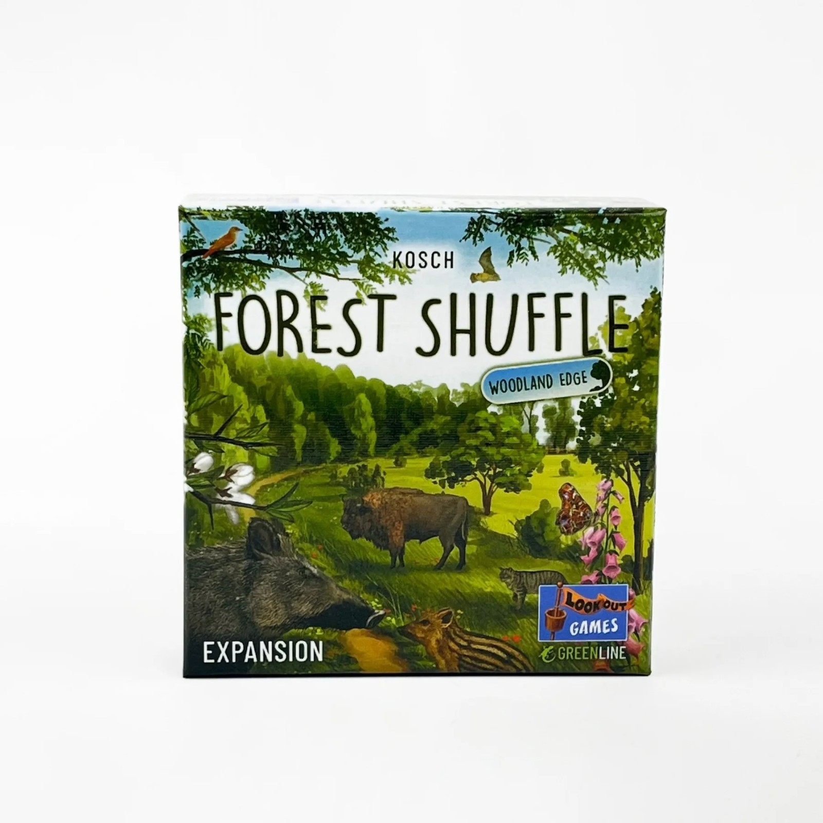 Forest Shuffle Card Game Strategy Family Game for Kids Adults 2-5 Players