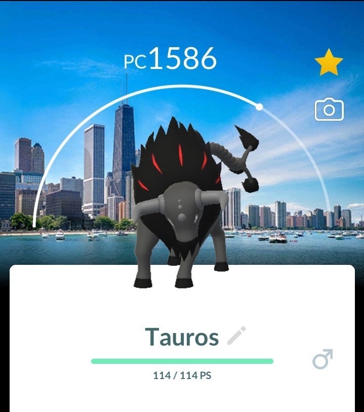 POKEMONS BG GOFEST 2026
