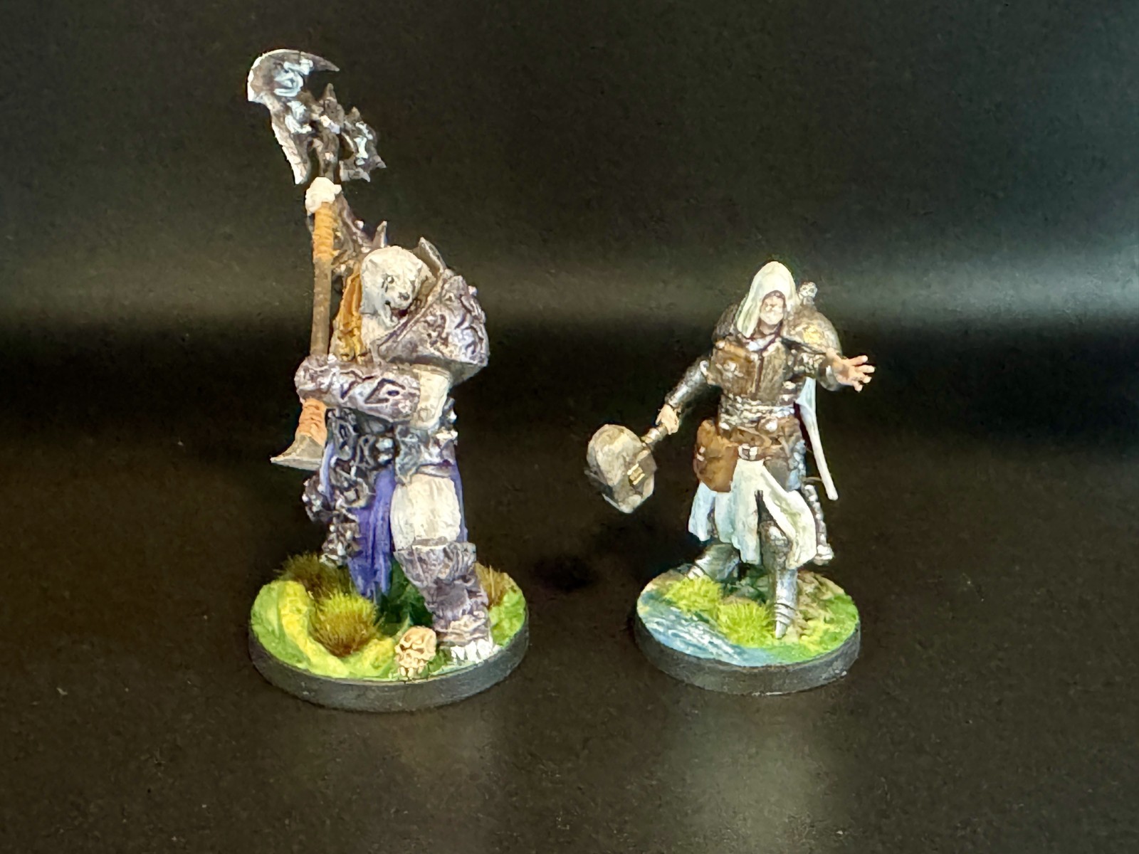Oathsworn: Into the Deepwood – 2nd Edition – Fully Painted