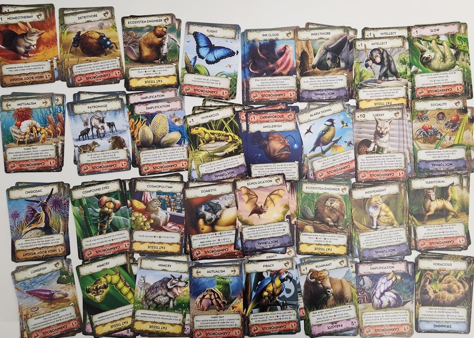 Evolution New World Kickstarter 2023 ALL-IN by CrowD Games SEALED