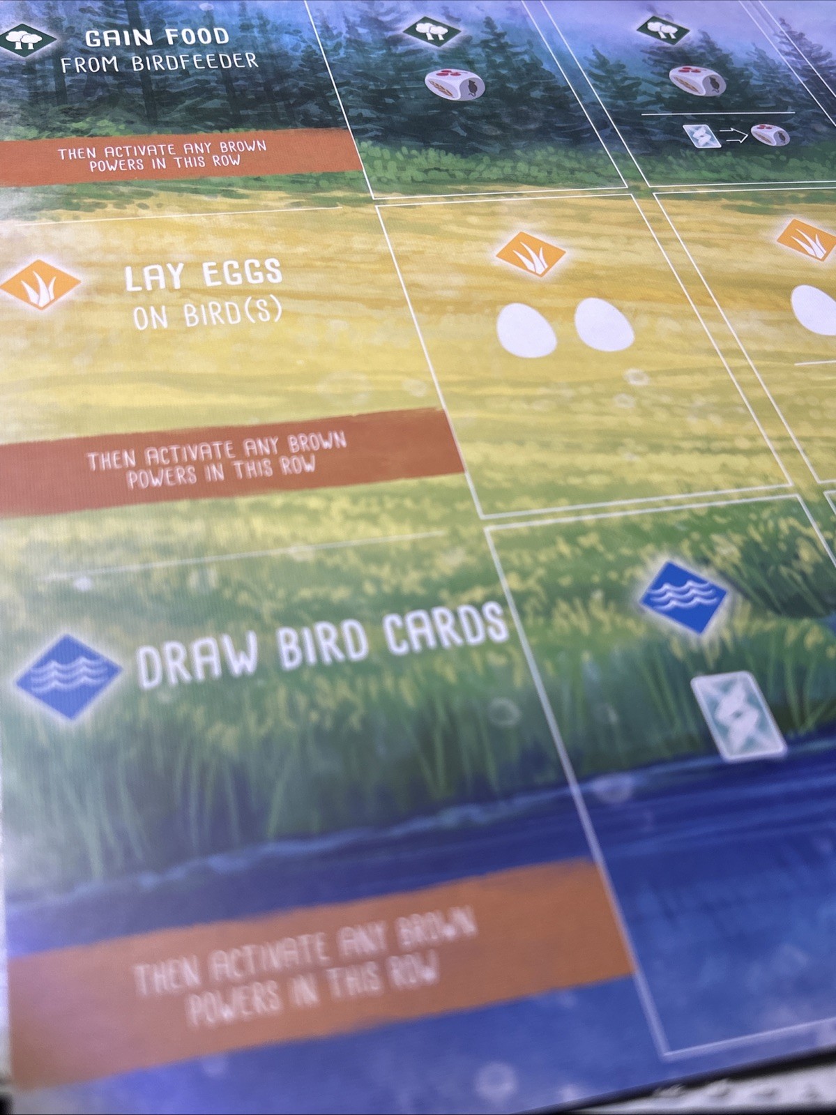 One (1) Wingspan Player Mat – Habitat Board Replacement