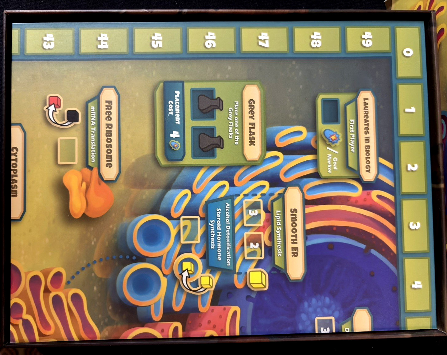 Genius Games Cytosis 2nd Edition Board Game Cell Biology Science Family