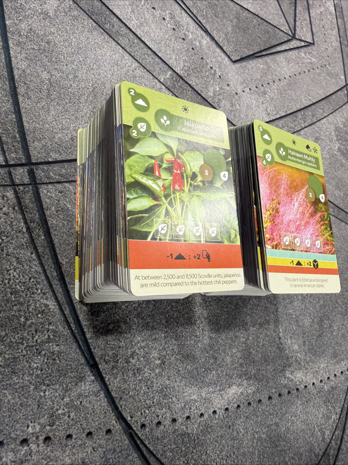 Earth Cards Earth Board Game Replacement Parts Inside Up Games