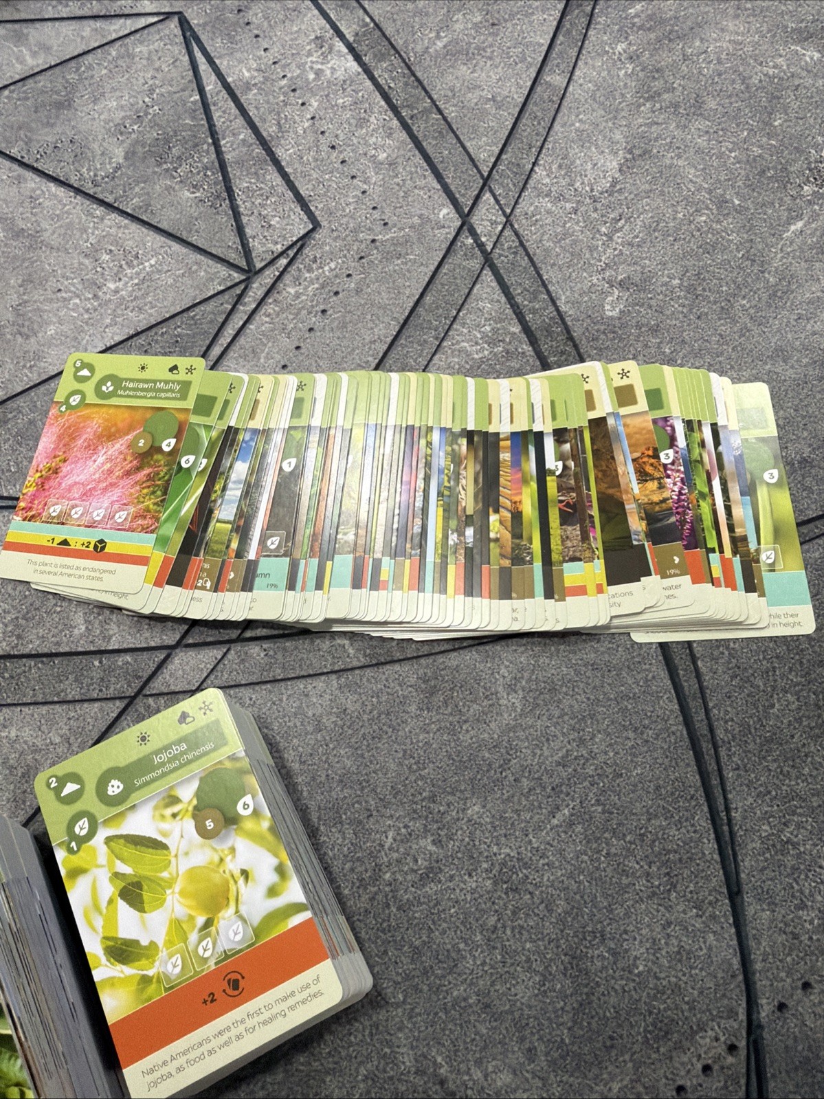 Earth Cards Earth Board Game Replacement Parts Inside Up Games