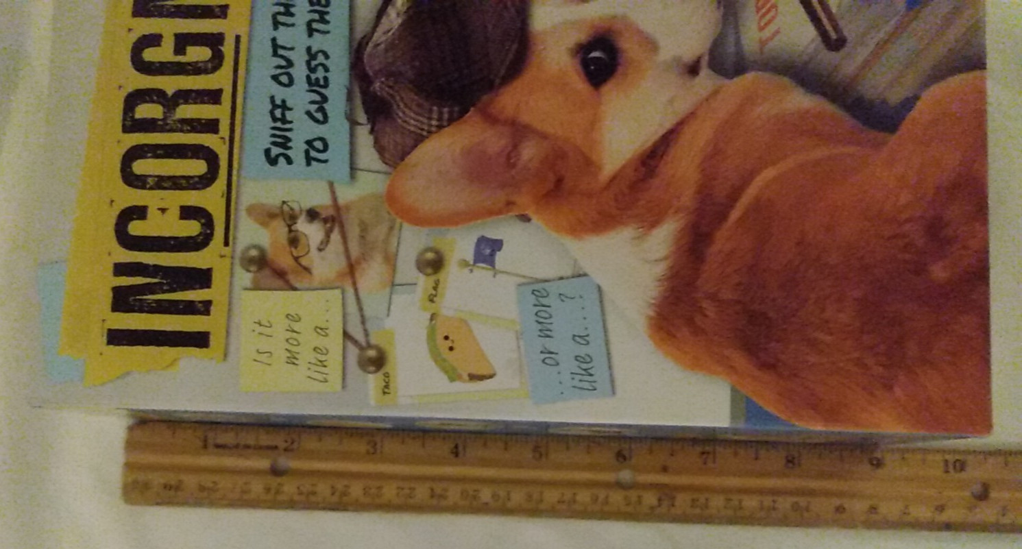 Game Incorgnito Corgi Dog Guess Based on Clues Ages 8 Up Preowned Complete 2022