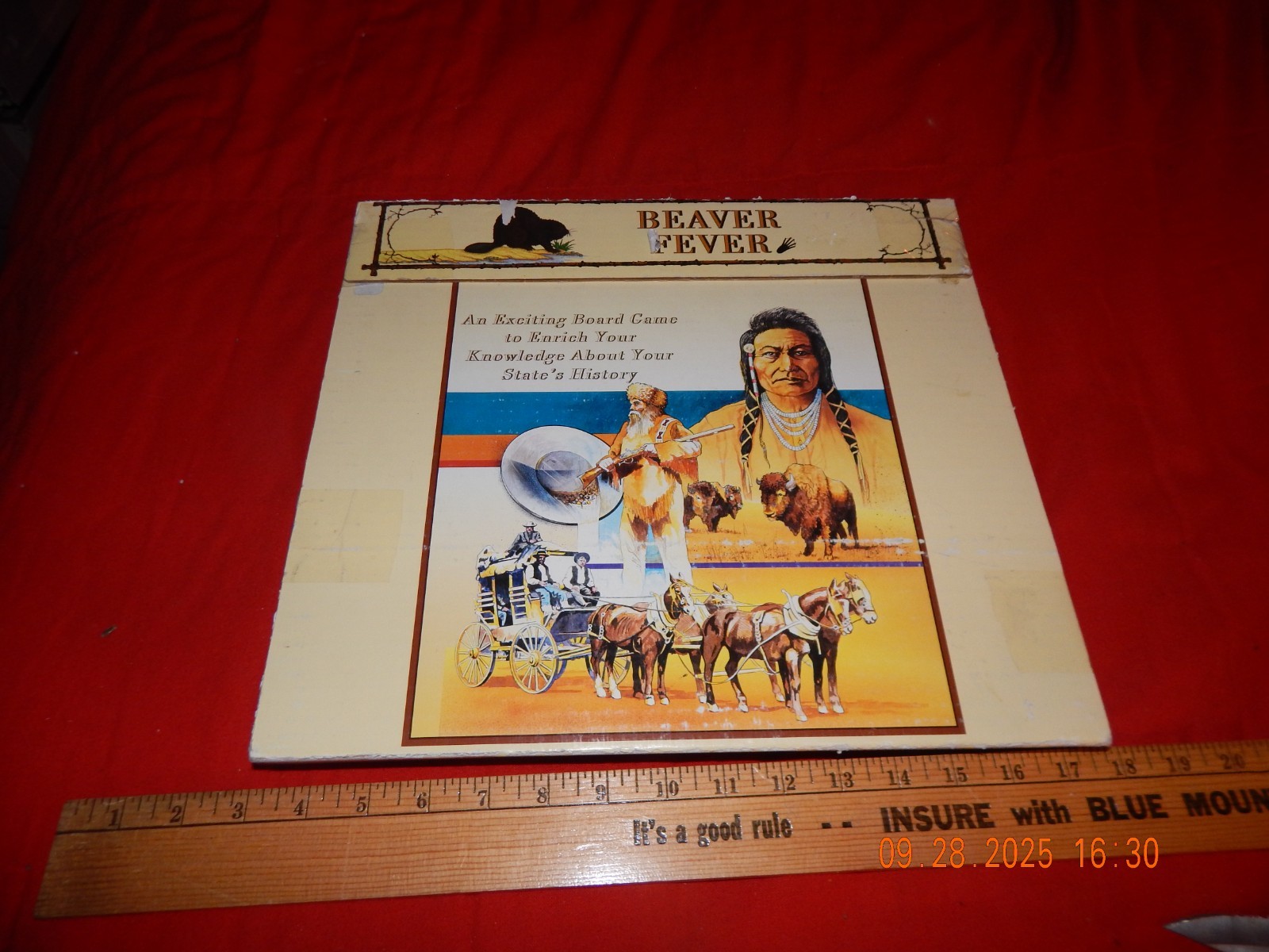 Sterling Ties Publishing Beaver Fever Board Game – Board game to enrich knowledg