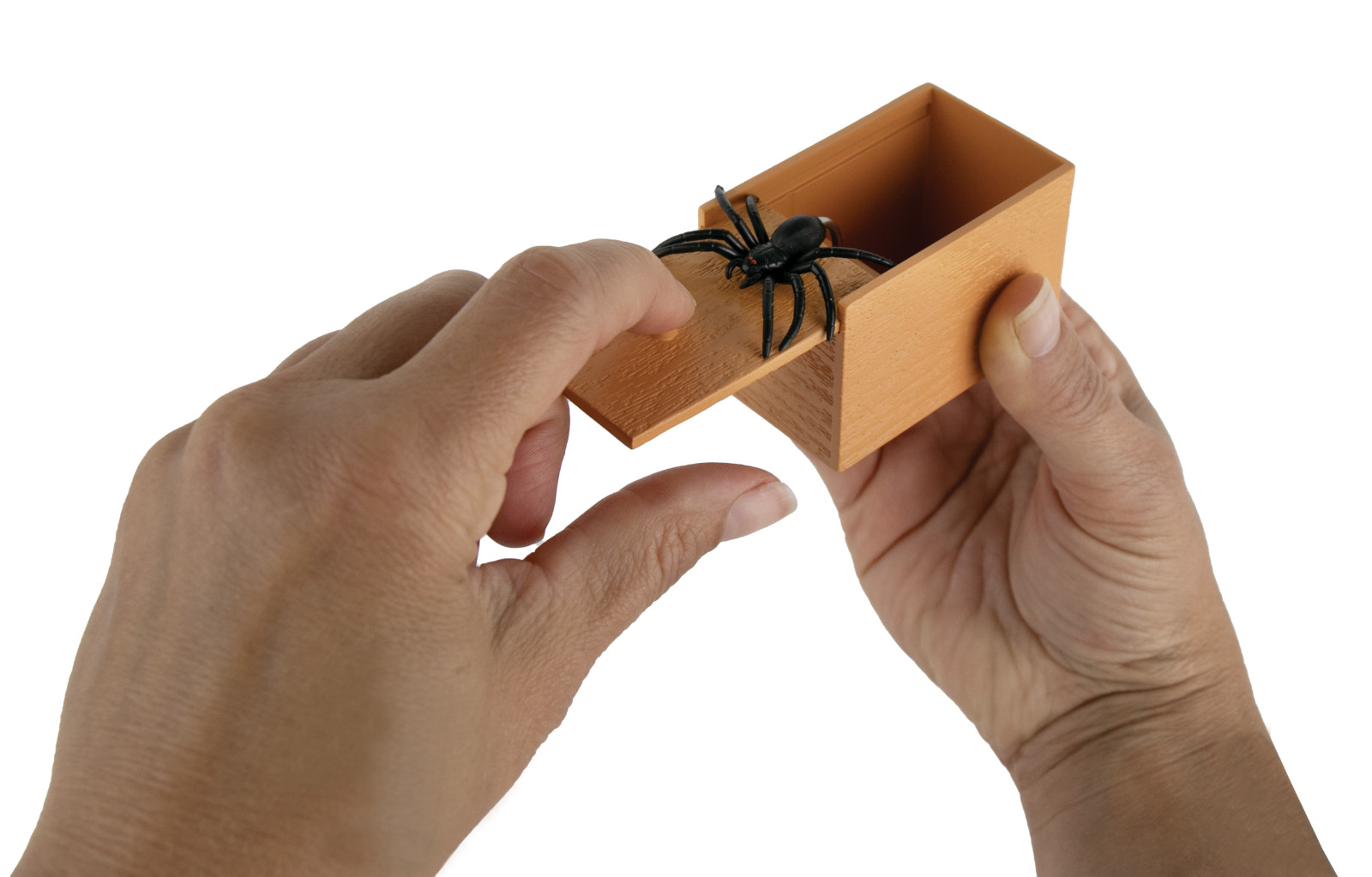 World’s Smallest SPIDER BOX Scare Prank