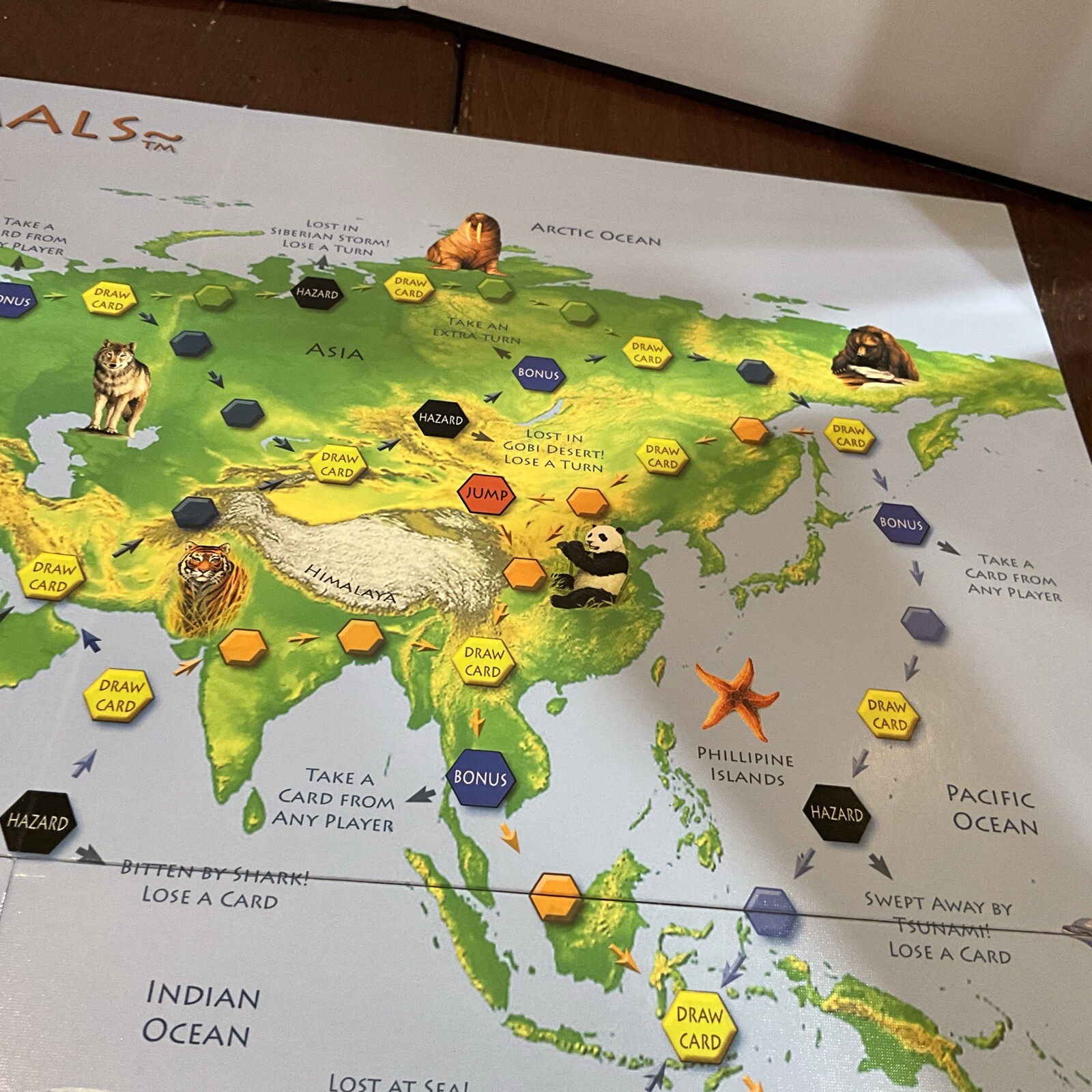 Traveling Animals Race To Save The Animals Board Game