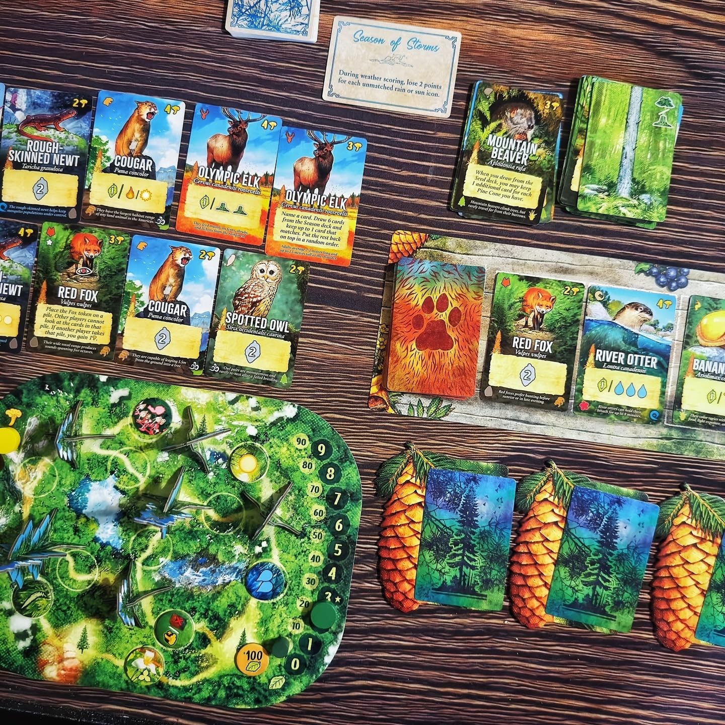 Canopy Evergreen – Strategy Board Game – for 1 to 4 Players and Ages 10+