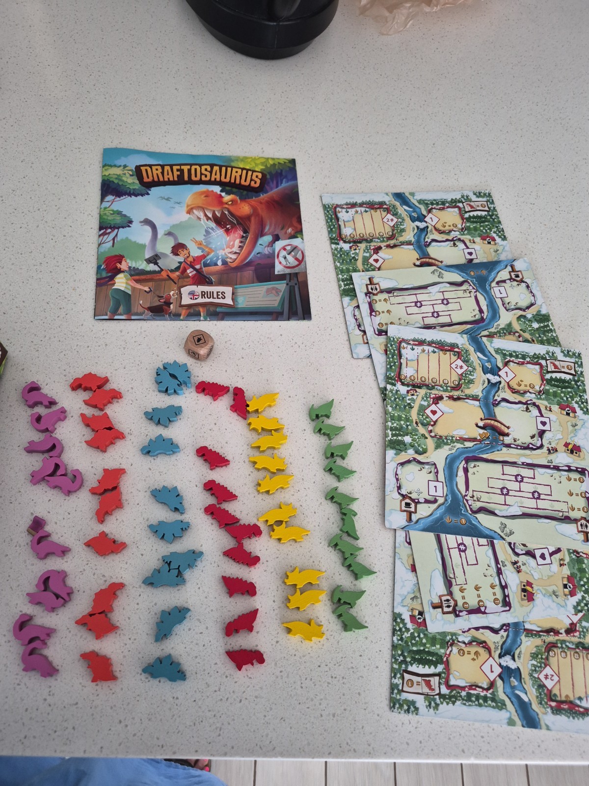 Draftosaurus Board Game by Ankama English Version of GERMAN game Educational