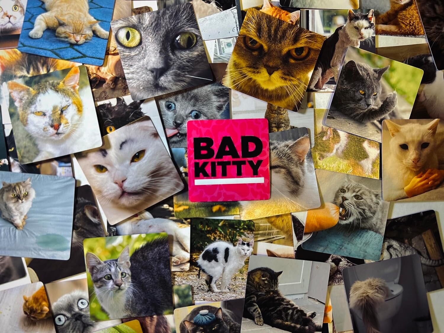 BAD KITTY Party Game + After Dark Expansion Set – Ultimate Meme Game w/cats NEW