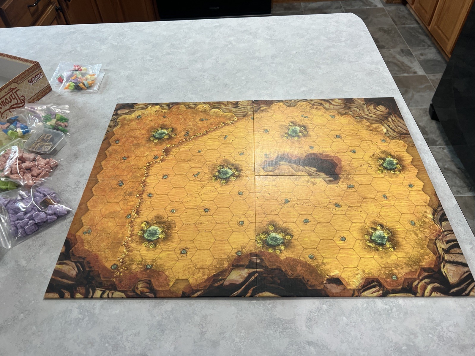 Through The Desert Board Game 100% Complete