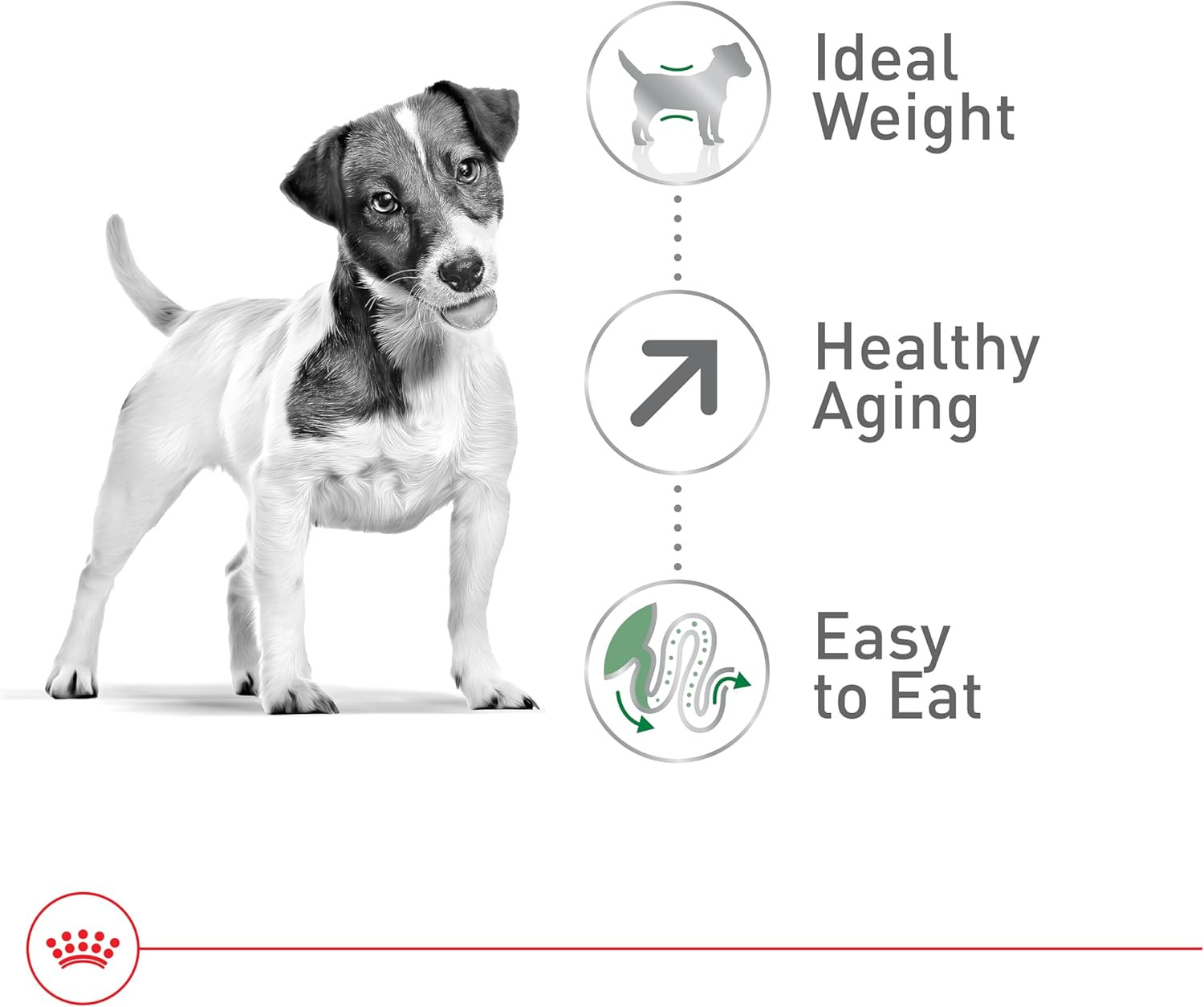 Royal Canin Size Health Nutrition Small Aging 12+ Senior Dry Dog Food, 2.5 Lb Ba