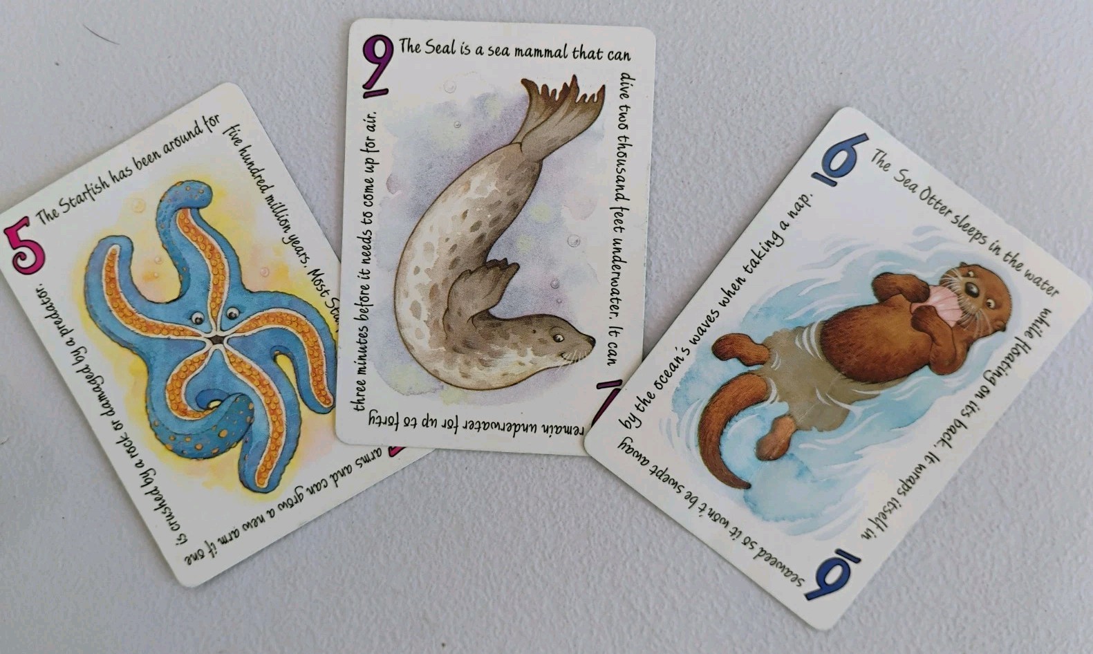 Vntg 1993 Great American Puzzle Factory Splash! Rubber Dolphins Card Game COMP