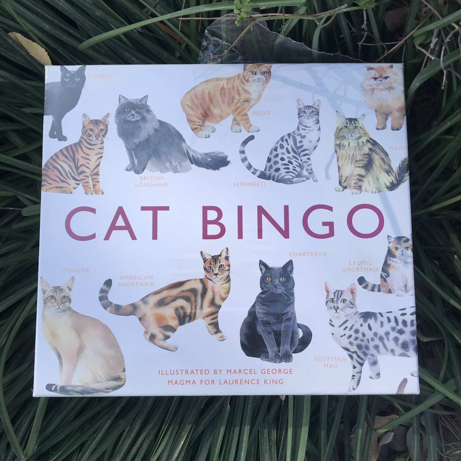 Cat Bingo by Marcel George Cat 64 Breeds Board Game Tonkinese Siamese Bengal
