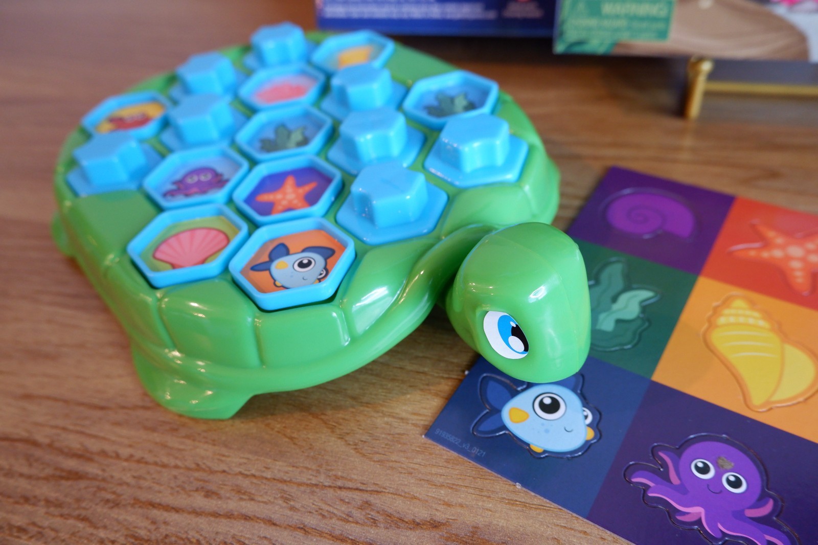 Shell Shapes Kids Learning Board Game Educational Family Game Ages 5+ Gift