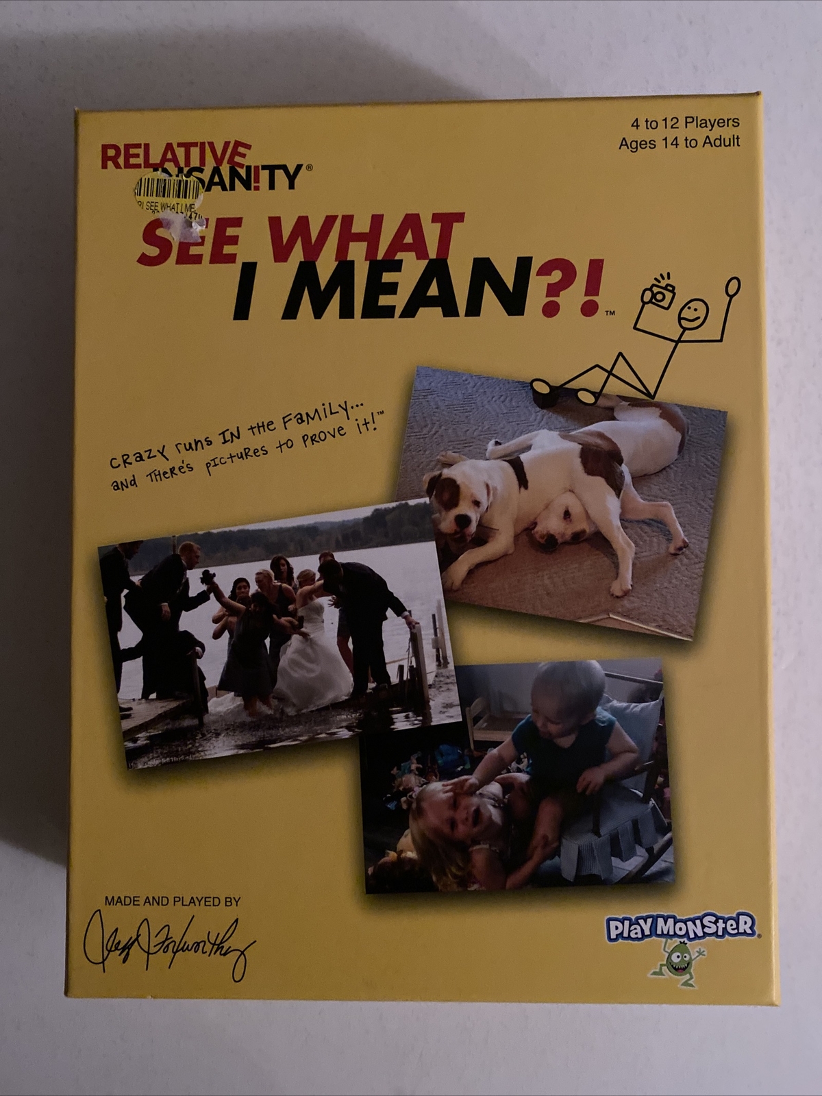 Relative Insanity: See What I Mean?! Party Game BRAND NEW FREE SHIPPING