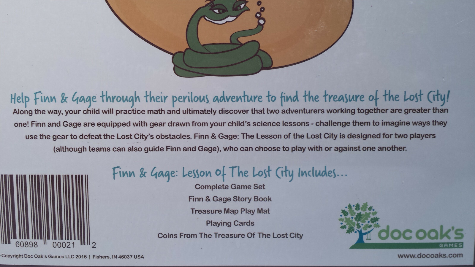 Finn & Gage Lesson of Lost City Game Book Math Science Home School STEM Ages 6+